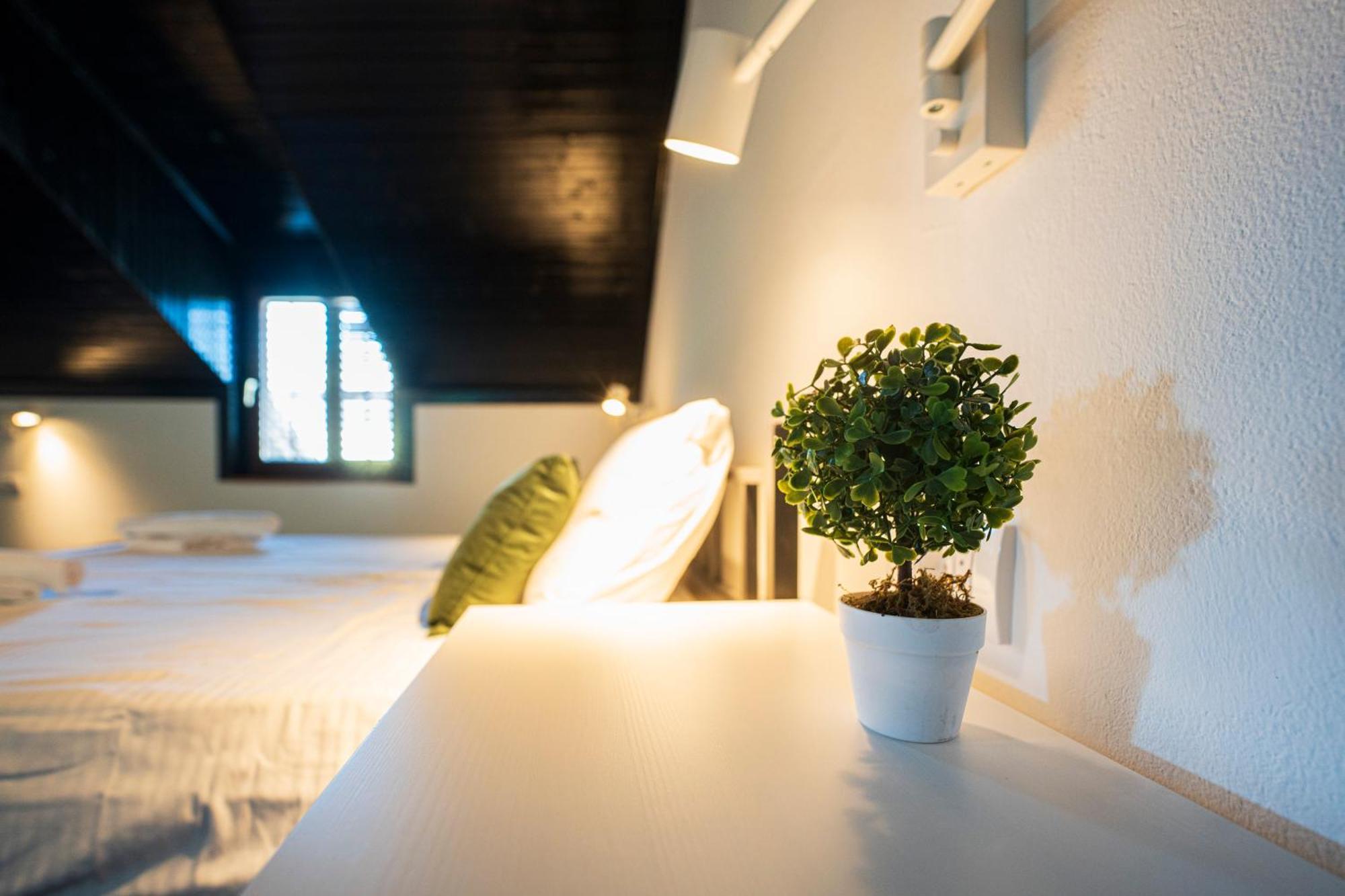 نوفي ساد Cozy Nook B&B - Free Private Parking المظهر الخارجي الصورة